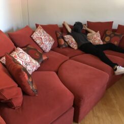 The Best Couches That were Shared in Weird and Wonderful Secondhand Finds Facebook Group